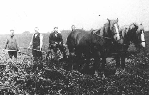 Quelle: Heimatverein Lengerich: Das alte Kirchspiel Lengerich, Geiger-Verlag, Horb am Neckar 1990, S. 83 Quelle: Heimatverein Lengerich: Das alte Kirchspiel Lengerich, Geiger-Verlag, Horb am Neckar 1990, S. 83