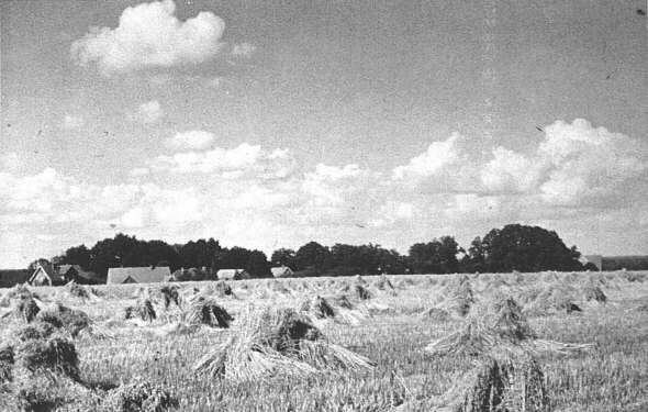 Quelle: Heimatverein Lengerich: Das alte Kirchspiel Lengerich, Geiger-Verlag, Horb am Neckar 1990, S. 83 Quelle: Heimatverein Lengerich: Das alte Kirchspiel Lengerich, Geiger-Verlag, Horb am Neckar 1990, S. 83